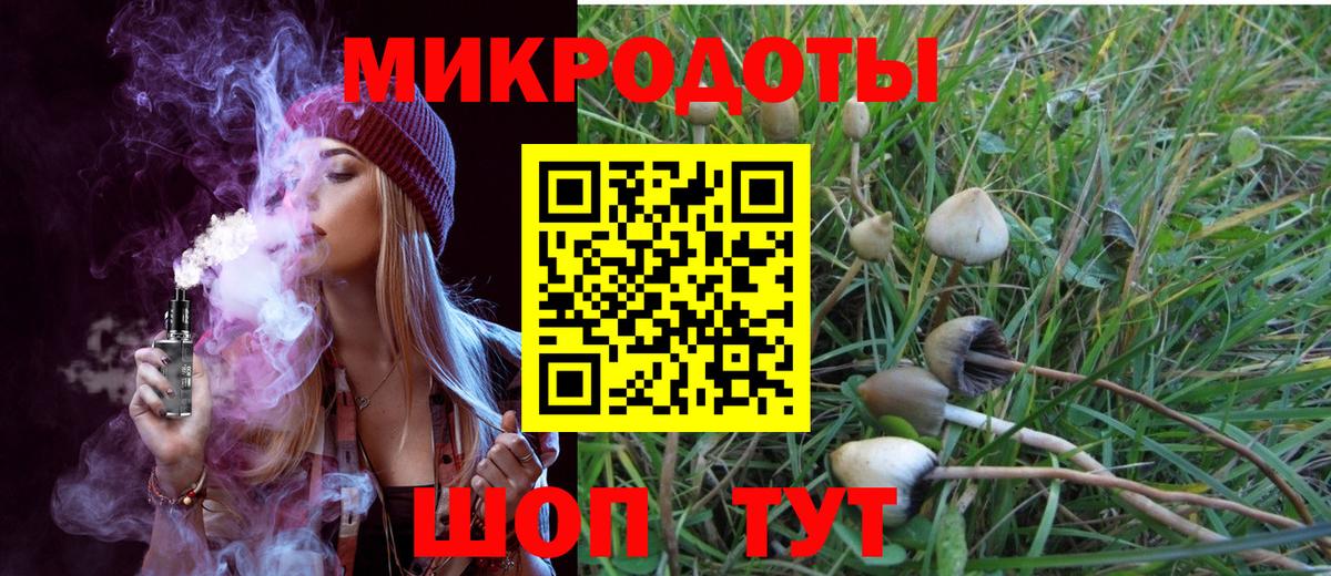 Галлюциногенные грибы Cubensis Первоуральск